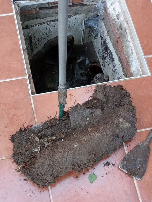 Desatoros Estepona