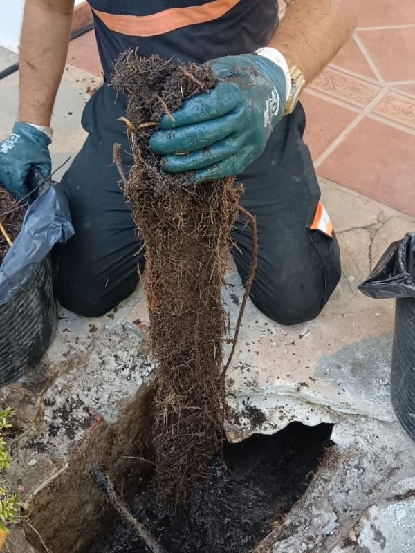 Desatoros Estepona