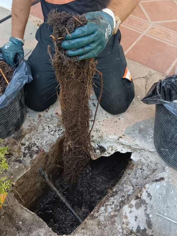 Servicio Desatoros Costa del Sol