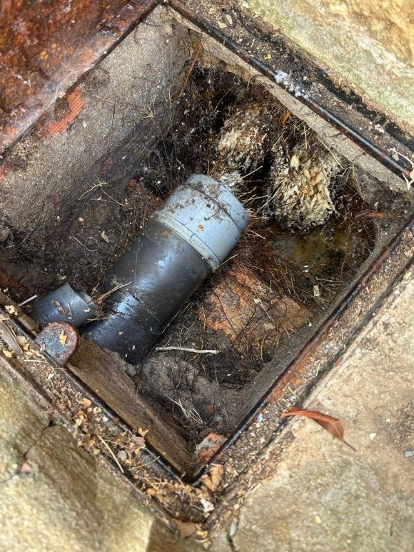 servicio desatoros Costa del Sol (2)