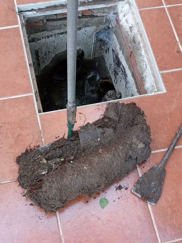 servicio desatoros Costa del Sol (4)