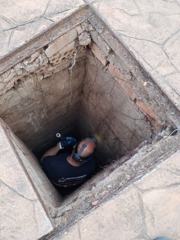 servicio desatoros Costa del Sol (5)