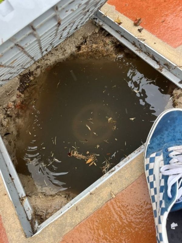 servicio desatoros Costa del Sol